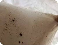 سم پاشی کنه سم پاشی کنه